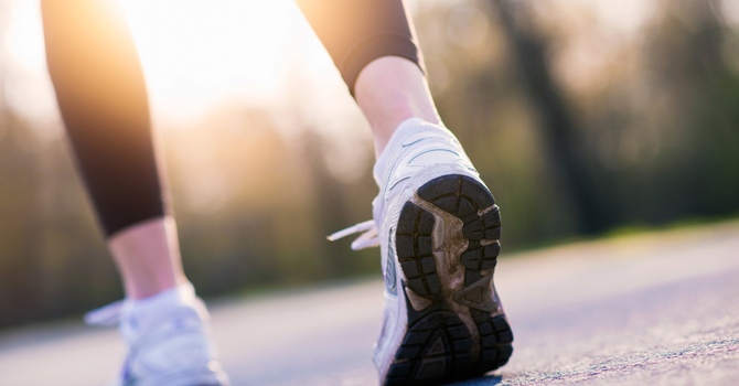 What Is a Primary Care Provider? Understanding the Foundation of Your Health